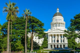 photo - California State Capitol and Palm Trees