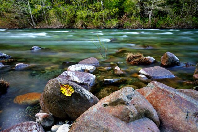 photo - Smith River Flows Through the Redwood Forests in California