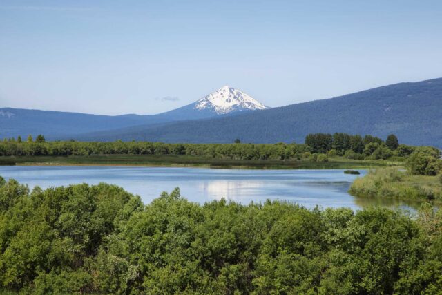 photo - Upper Klamath National Wildlife Refuge