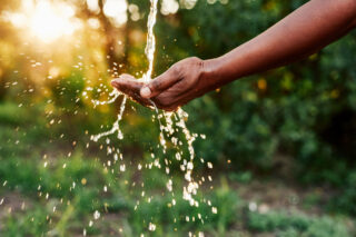 photo - Cupped Hand Catching Stream of Water Outside