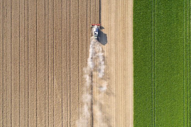 photo - Harvesting a Wheat Field and Dust Clouds