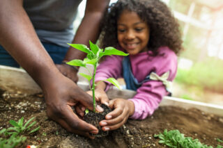 photo - Little girl planting in a community garden