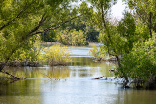 photo - High River Flows on the San Joaquin River, pixel-ca-dwr-2023_06_13_KJ_0020_San_Joaquin_River