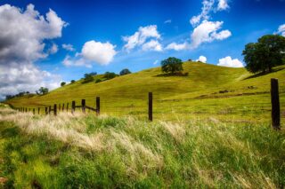 photo - Rolling green hills on Fresno farm