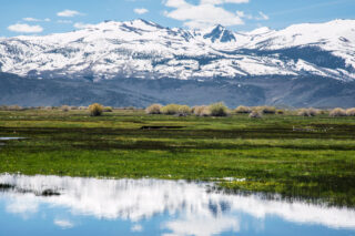photo - Bridgeport Valley in Spring
