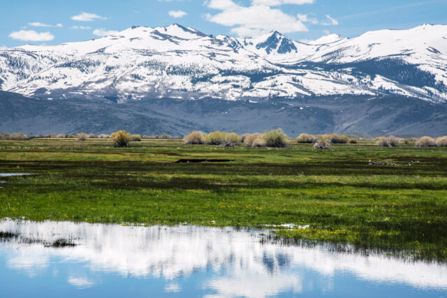 photo - Bridgeport Valley in Spring