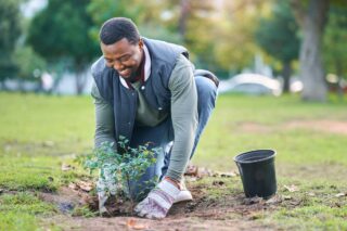 photo - Man Planting Tree in Park