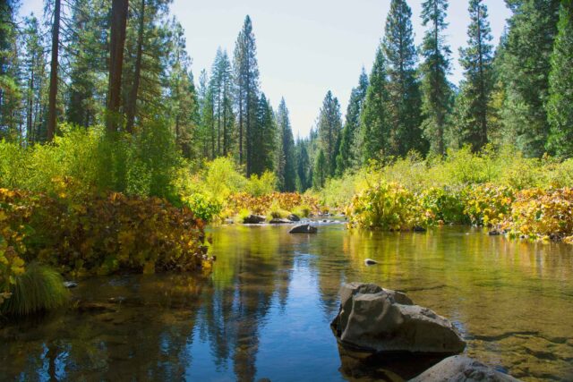 photo - McCloud River