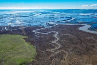photo - Sacramento Valley Wetlands