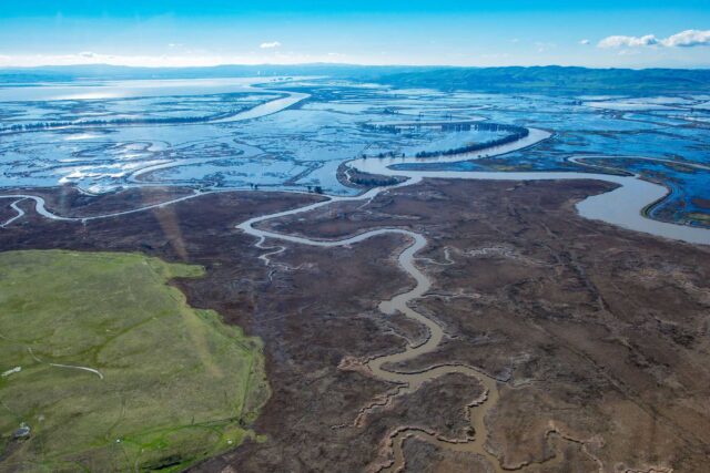 photo - Sacramento Valley Wetlands