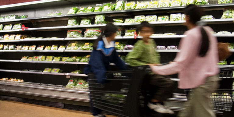 photo - Mother at Supermarket Pushing Shopping Cart with Children in It