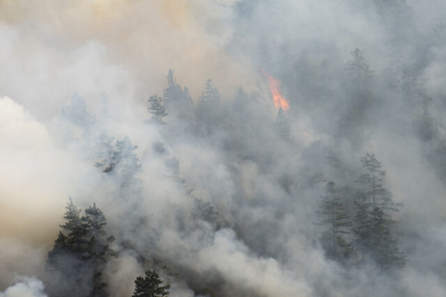 photo - Forest Fire in Northern California