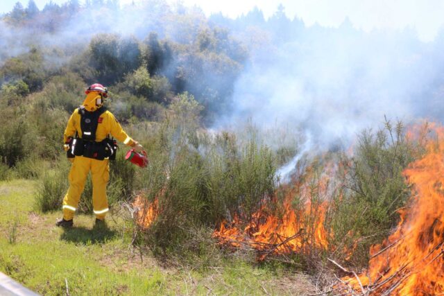 figure - Prescribed Burns in Mendocino County, California, wikimedia-February_2020_prescribed_burns_in_Mendocino_County_03