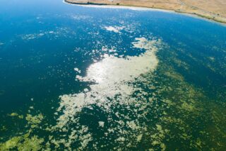photo - Aerial View of Algae Bloom at O'Neill Forebay Merced County, California
