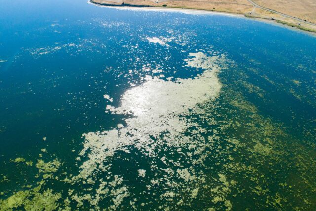 photo - Aerial View of Algae Bloom at O'Neill Forebay Merced County, California