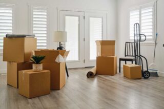 photo - Cardboard boxes potted plants and furniture packed up for move