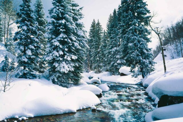 photo - Fresh Winter Snow Covers Forest along Cascade Creek at Lake Tahoe, California