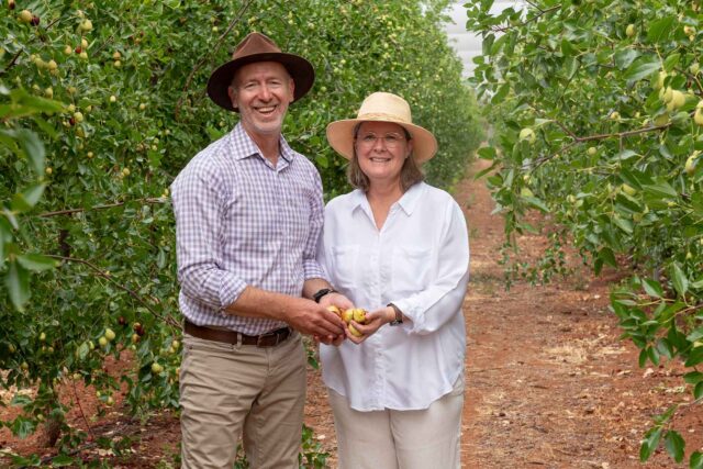 photo - Jujube Farm, Sandy Josefellis, Australia