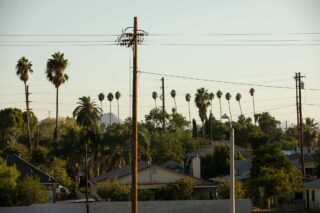 photo - Neighborhood Rooftops, Palm Trees, and Power Lines in San Bernadino, California