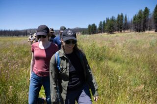 photo - People Walking through the Upper Feather River's Thompson Meadow Restoration Project, pixel-ca-dwr-2025_07_08_AN_0664_Thompson_Meadow