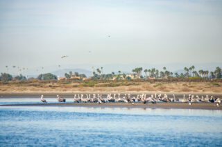photo - Tijuana River National Estuarine Research Reserve