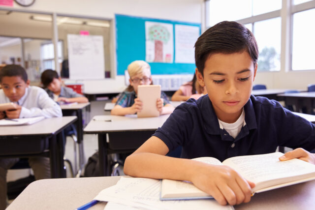 photo - Elementary Students Reading at Desks in Classroom