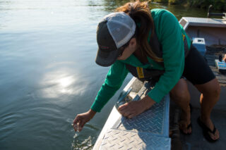 photo - Woman Testing Water on Feather River, pixel-ca-dwr-KMG_feather_river-06916