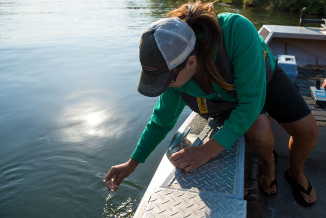 photo - Woman Testing Water on Feather River, pixel-ca-dwr-KMG_feather_river-06916