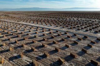 photo - Grass Bale on the Exposed Salton Sea Lakebed, pixel-ca-dwr-2025_04_21_KJ_0244_Salton_Sea_Drone