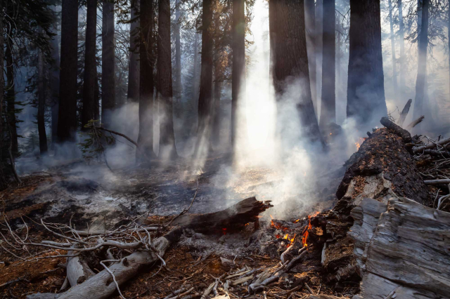 photo - Wildfire in Yosemite National Park