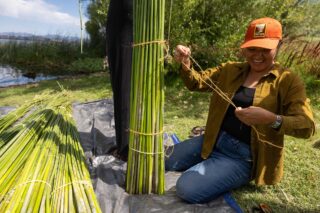 photo - Woman Tying Tule Reeds by Water, water-ca-dwr-2025_07_25_AN_0169_Tule_Boat_Festival