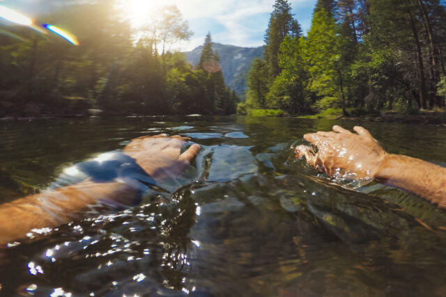 photo - Close Up of Man's Forearms Just under the Water as he Swims in the Merced River in Yosemite