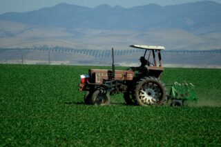 photo- Farmer in Tractor