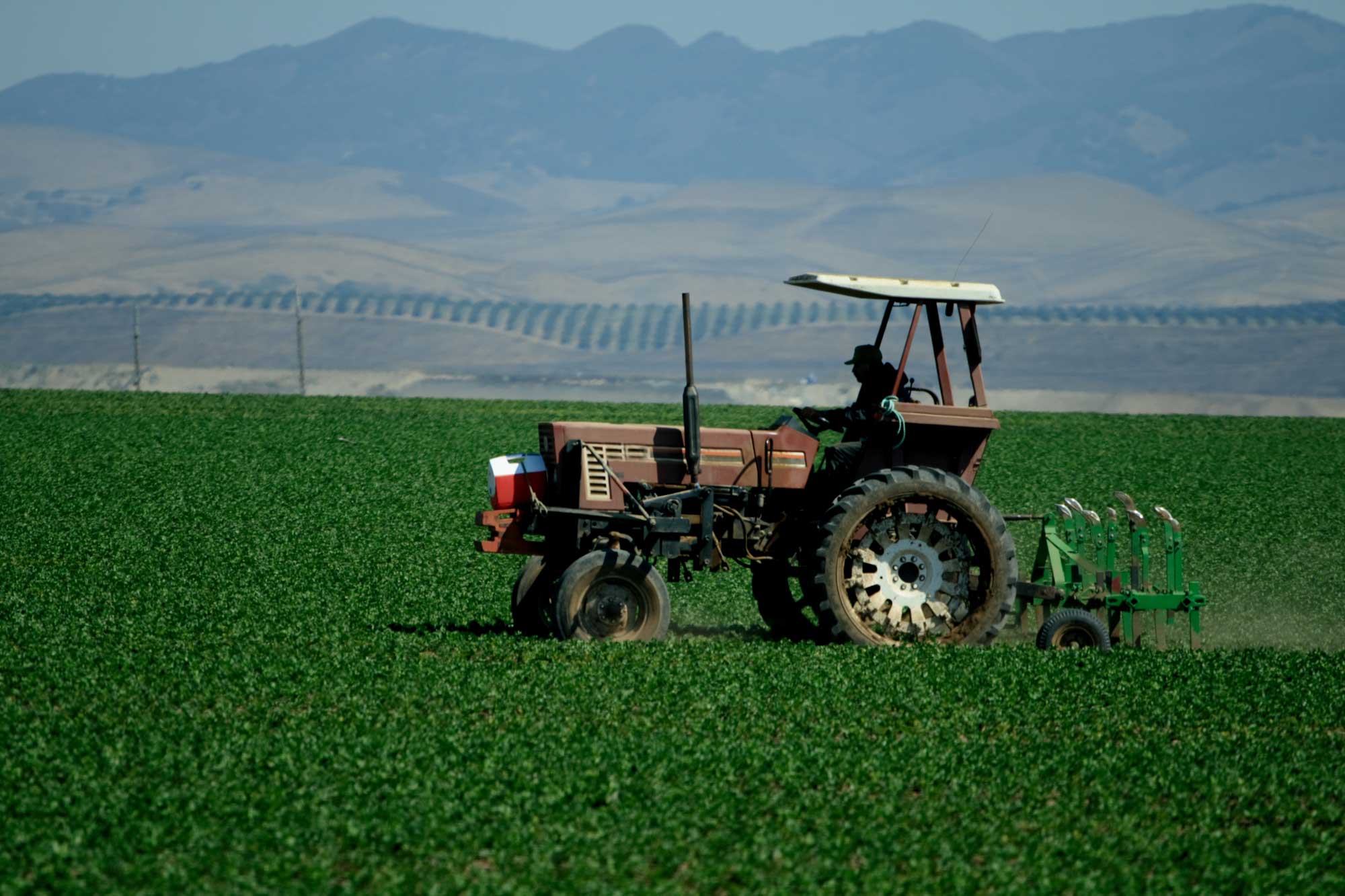 photo- Farmer in Tractor
