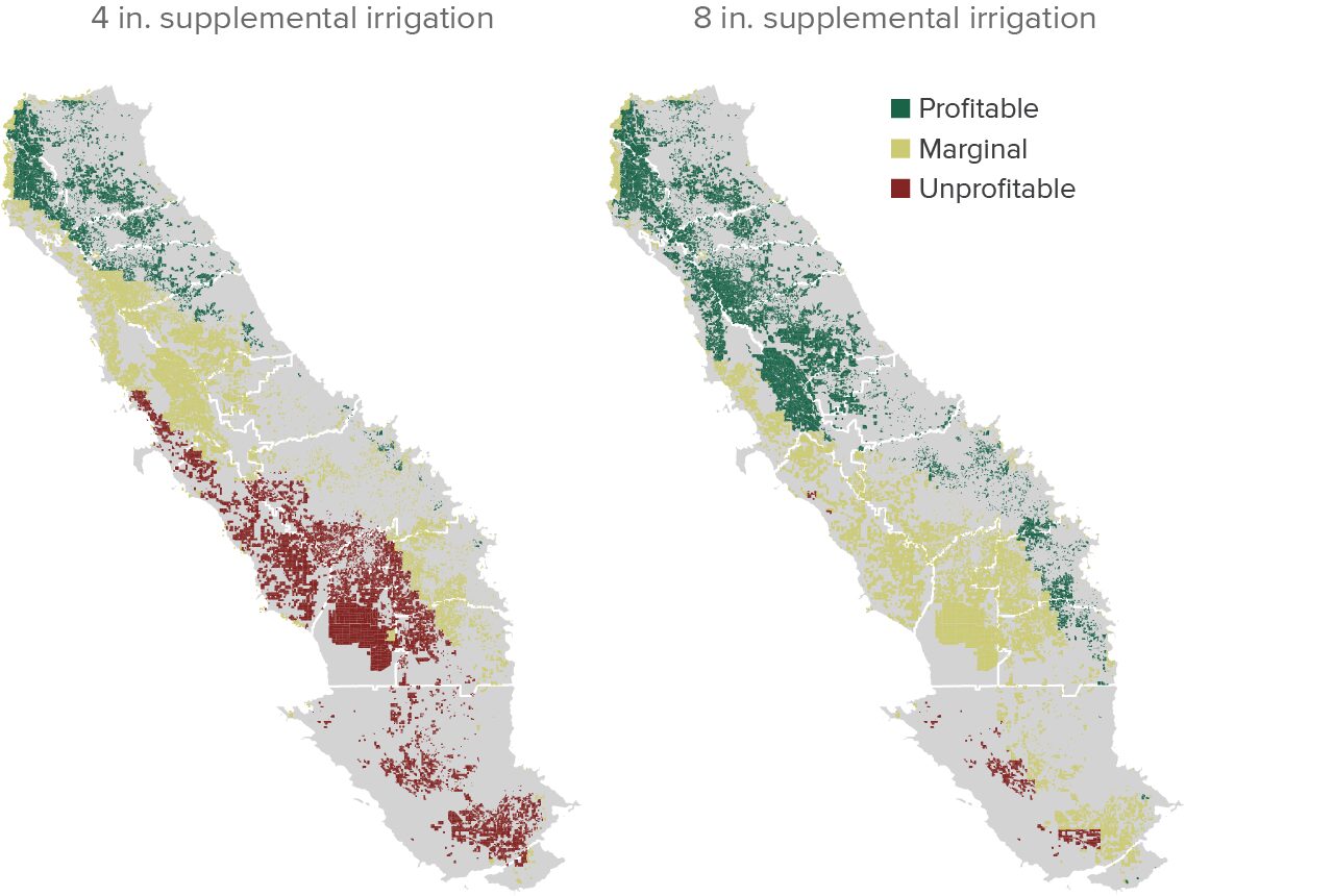 Figure - Estimated net returns per acre under different irrigation scenarios