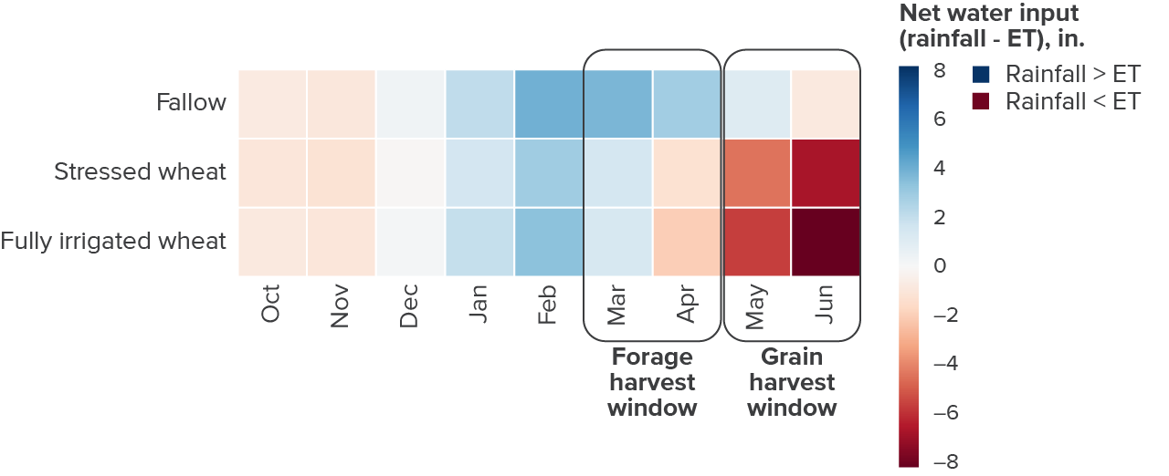 Figure 3 - When harvested early, a typical year’s rainfall is often enough to meet winter wheat’s water demand