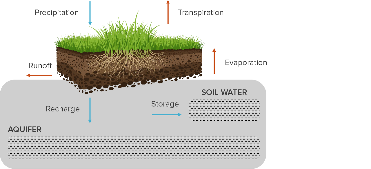 Figure 4 - Rain or irrigation water applied to a field can have one of several fates