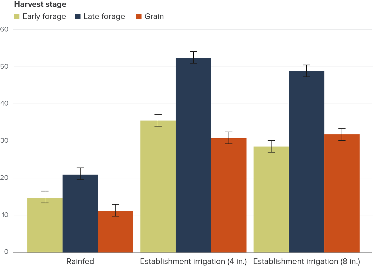 Figure 5 - Winter cereal crops make better use of limited water when harvested for forage rather than grain