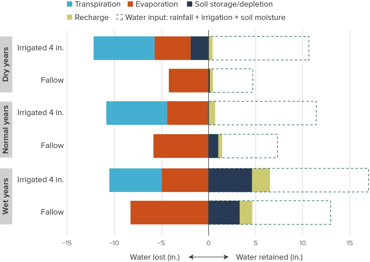 Figure 8 - Water-limited winter forages maintain or increase recharge from rainfall but can deplete soil water in dry years