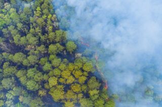 photo - Aerial View of Wildfire and Smoke in California Forest