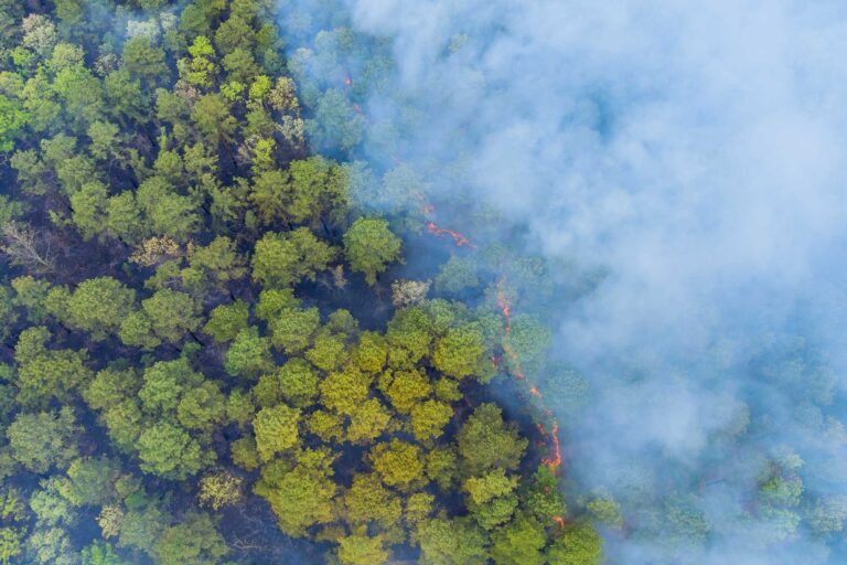 photo - Aerial View of Wildfire and Smoke in California Forest