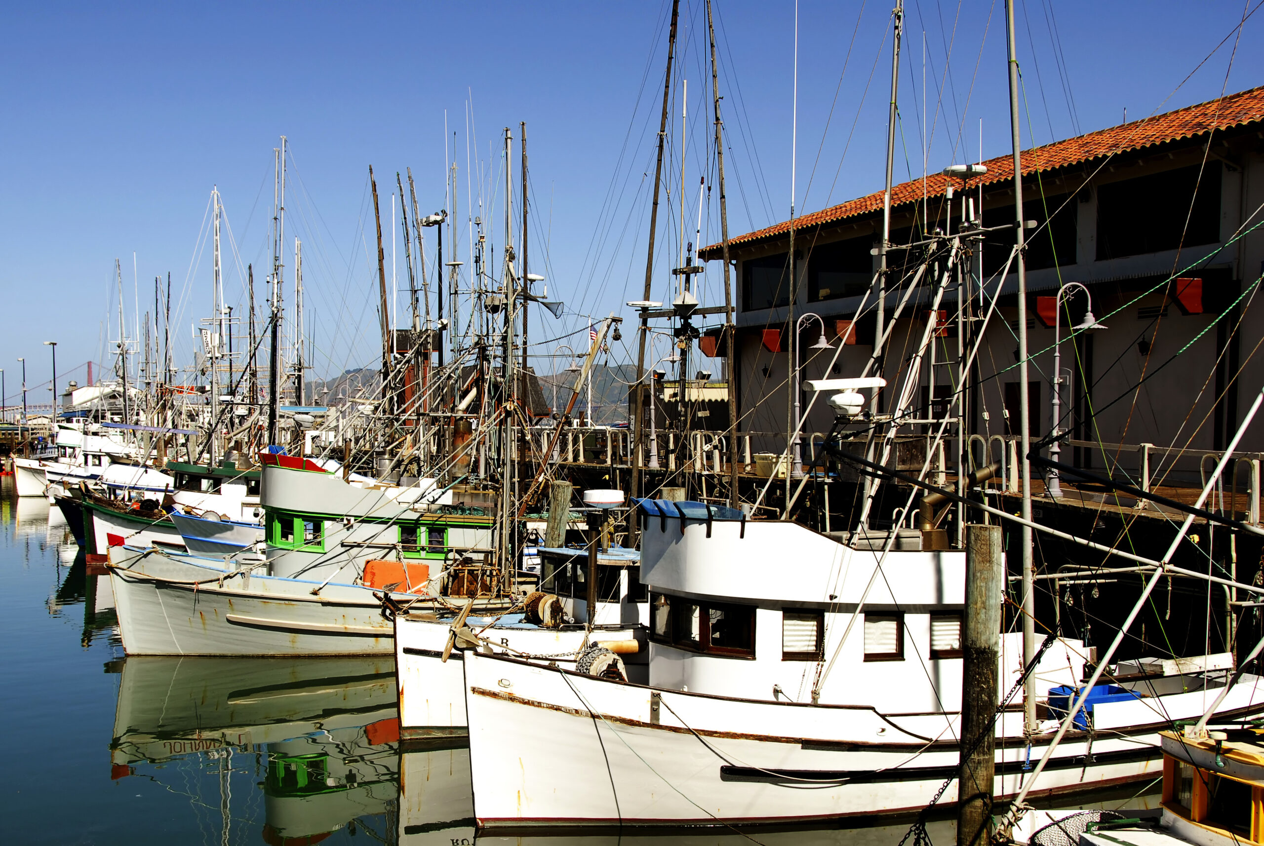 photo - Fishing boats