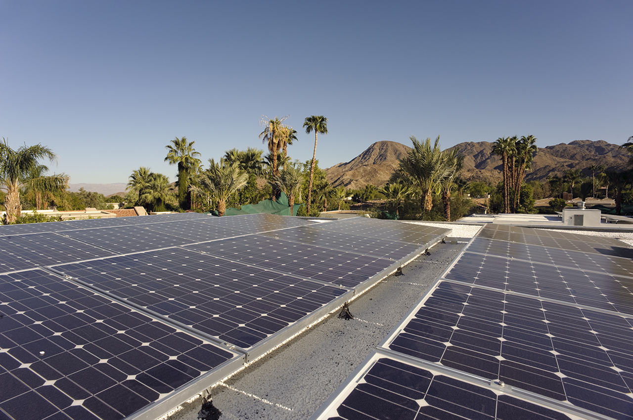 photo - Solar Panels and Palm Trees