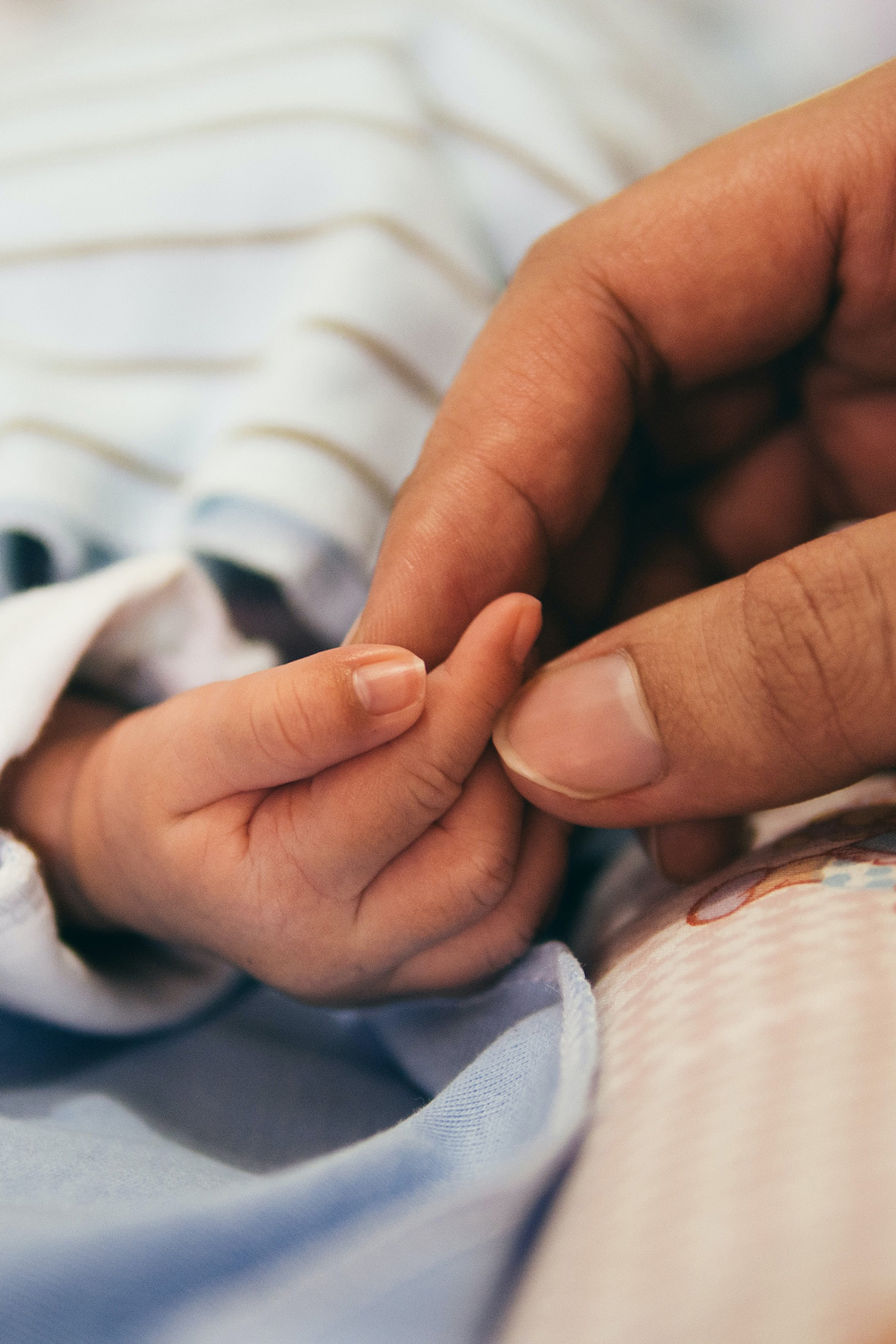 photo - Adult Hand Holding Infant Hand