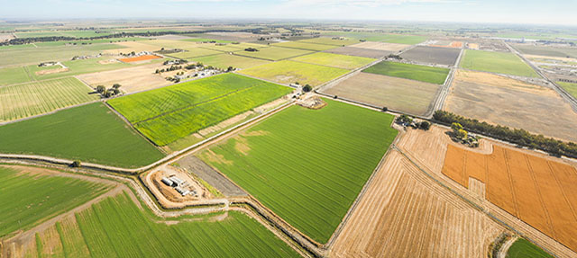 photo - Aerial View of Farmland in California