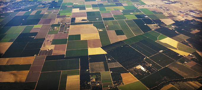photo - Agricultural Fields in Central Valley, California
