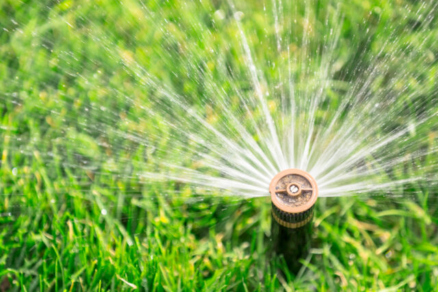 photo - Automatic Sprinkler Watering Lawn
