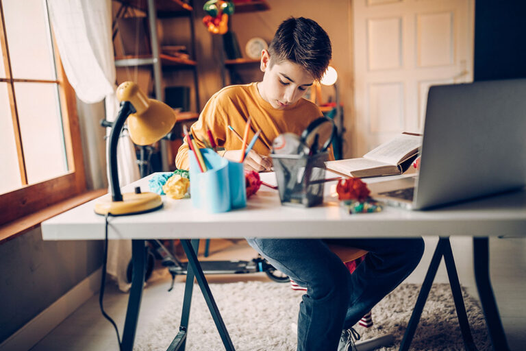 photo - Boy Studying at Desk at Home