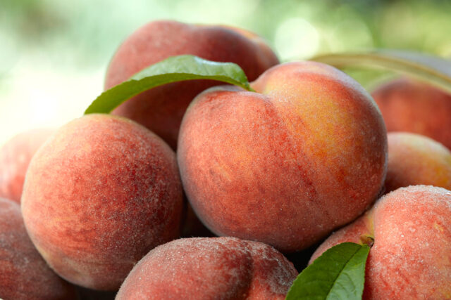 Photo of bunch of peaches