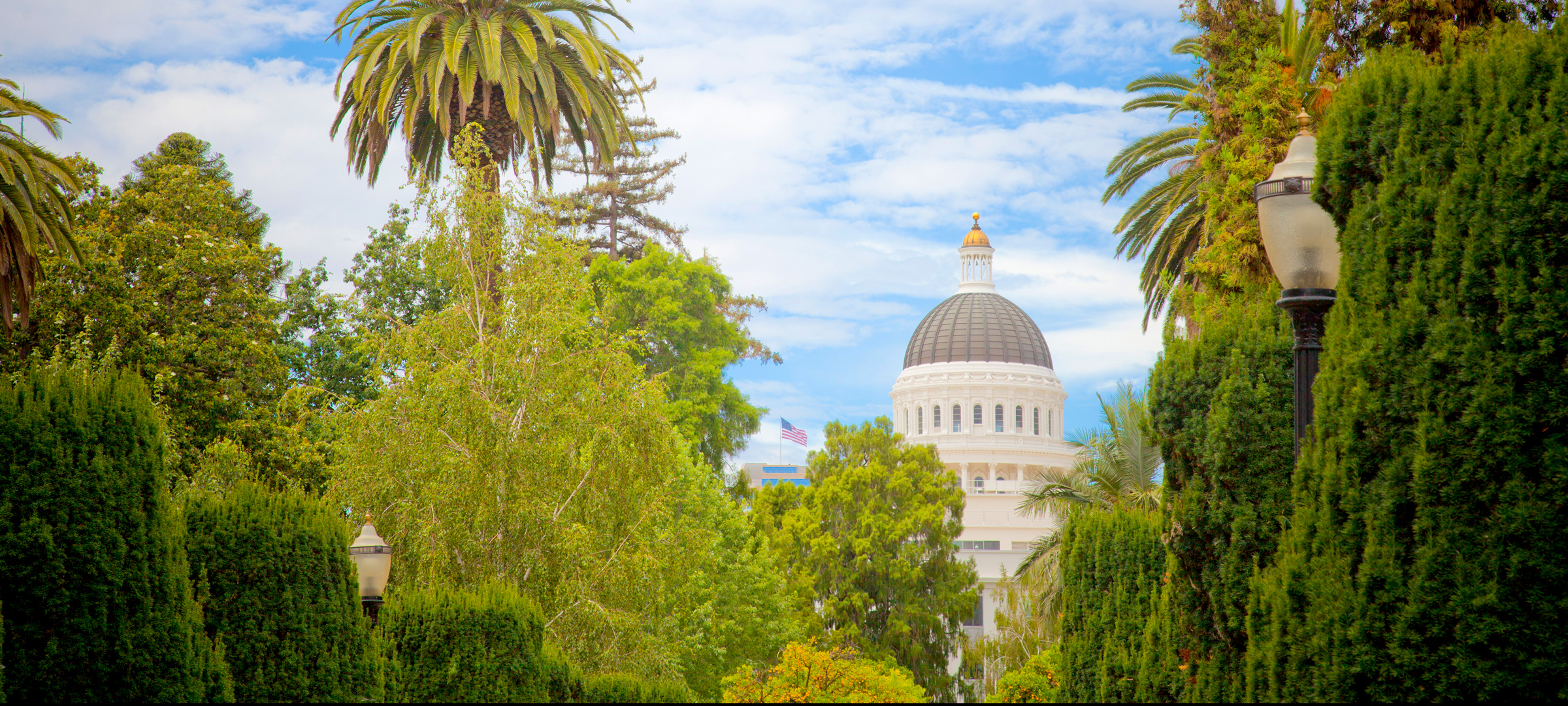 Photo of California Capitol building in distance